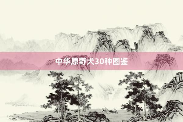 中华原野犬30种图鉴