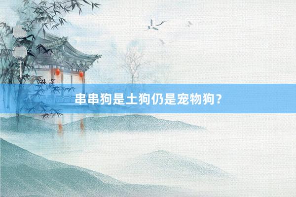串串狗是土狗仍是宠物狗？