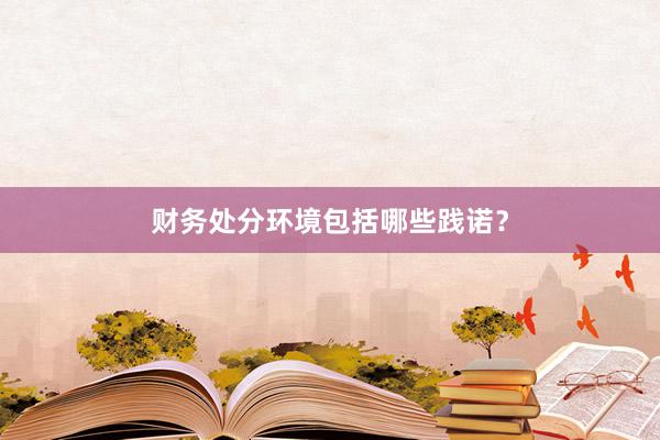 财务处分环境包括哪些践诺？